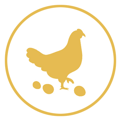 ����ũ��ҵ���������� 