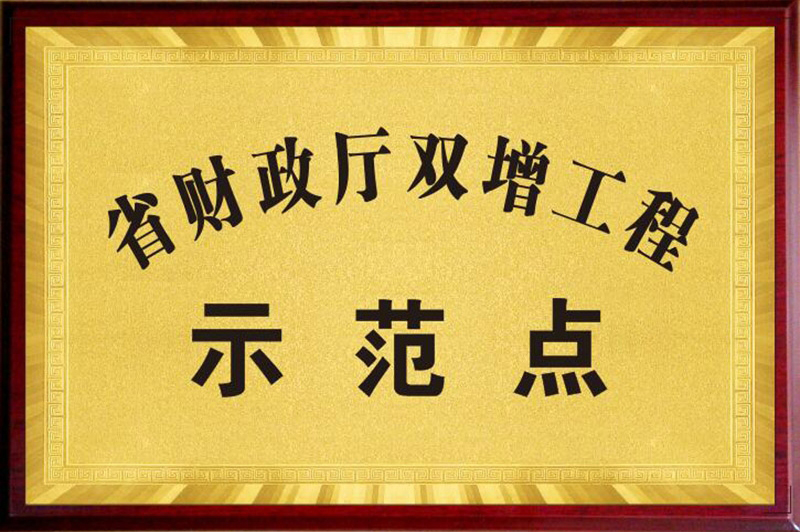 ʡ������˫������ʾ����