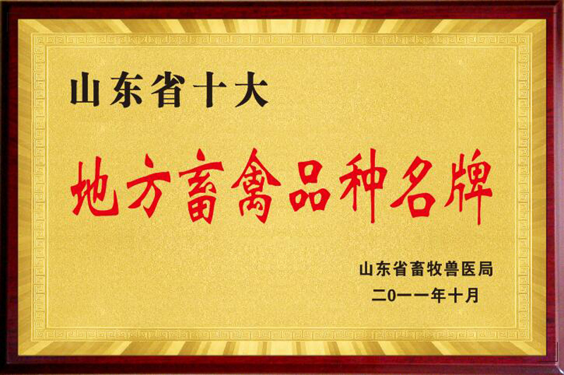 ɽ��ʡʮ��ط�����Ʒ������