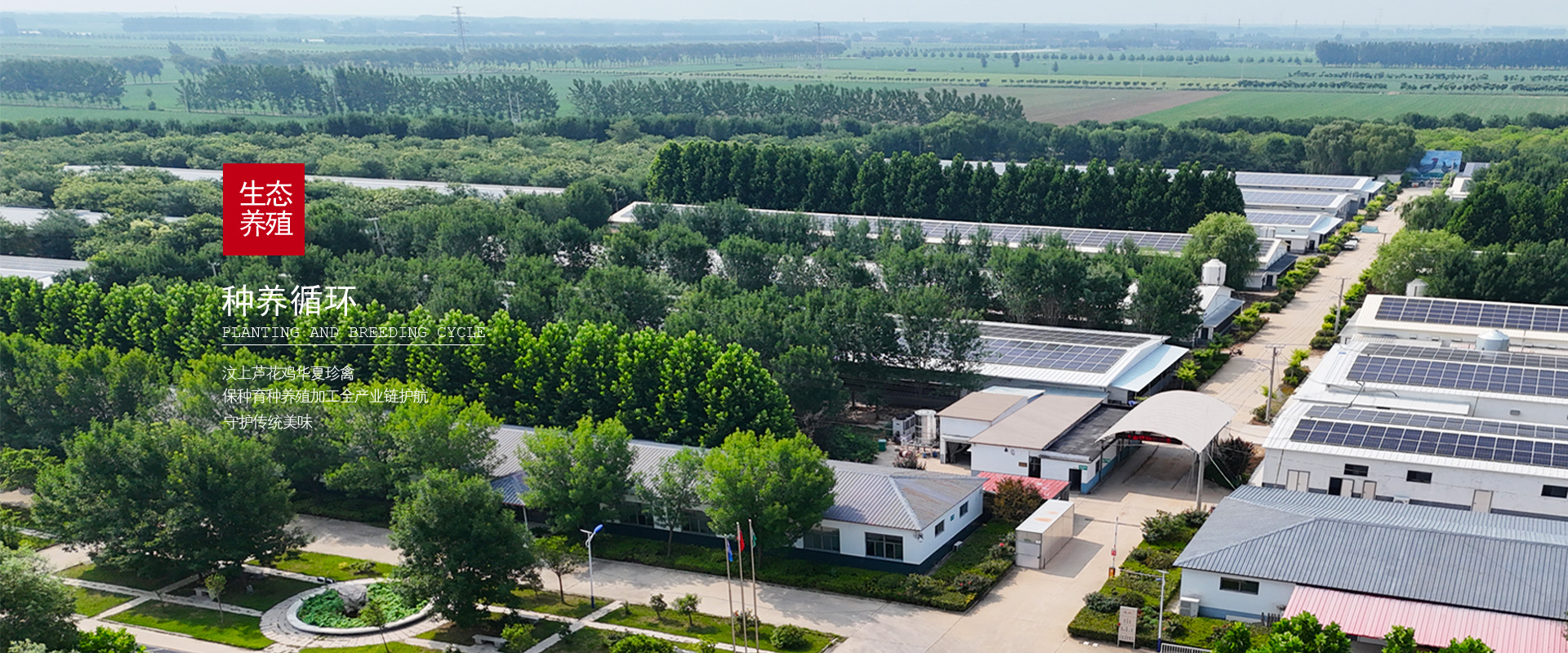 ����«�������ֳ� - ɽ������ũ���Ƽ��ɷ����޹�˾  