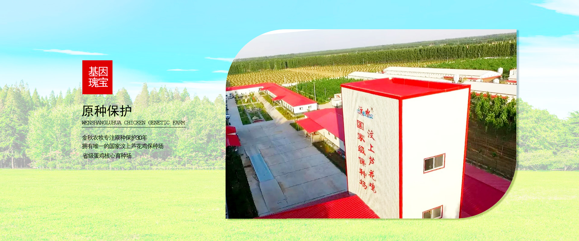 ����«�������ֳ� - ɽ������ũ���Ƽ��ɷ����޹�˾ 