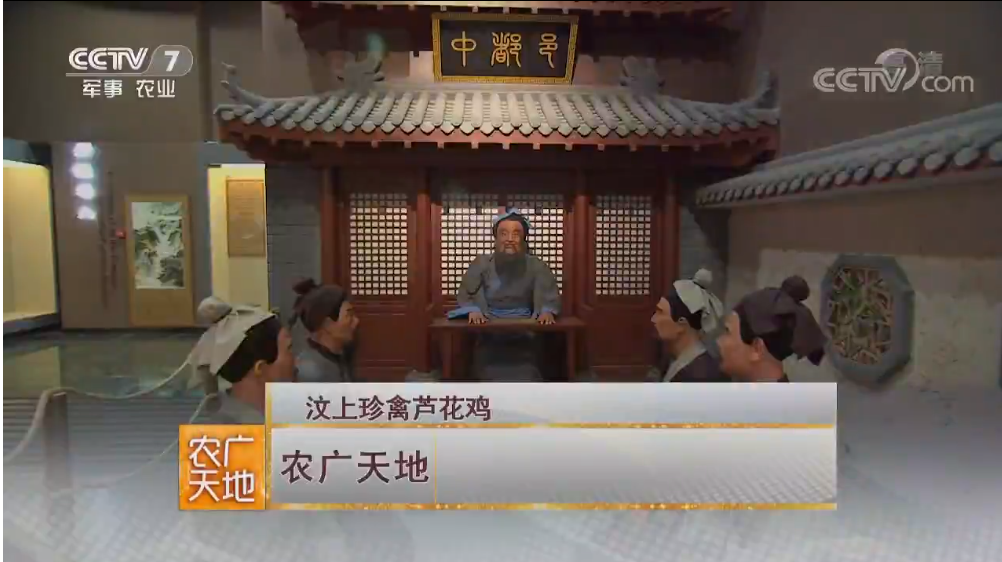 【媒体聚焦】CCTV7  农广天地 | 汶上珍禽芦花鸡 