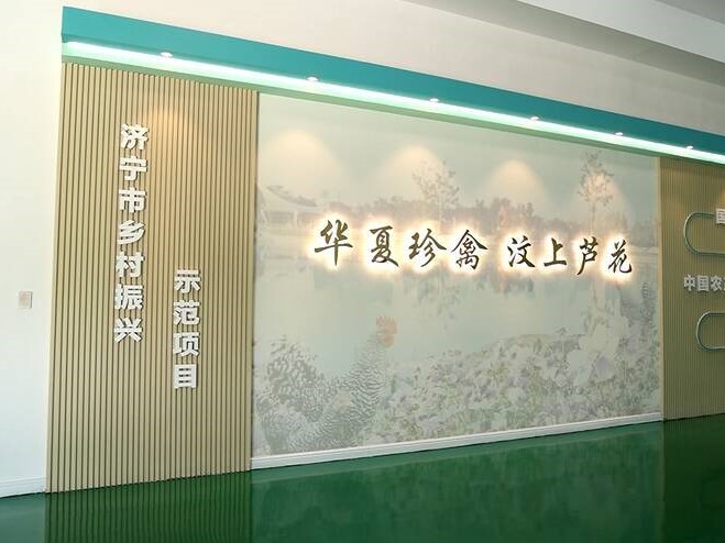 【齐鲁网】济宁2022上半年重点项目巡礼：汶上芦花鸡全产业链标准化生产基地项目