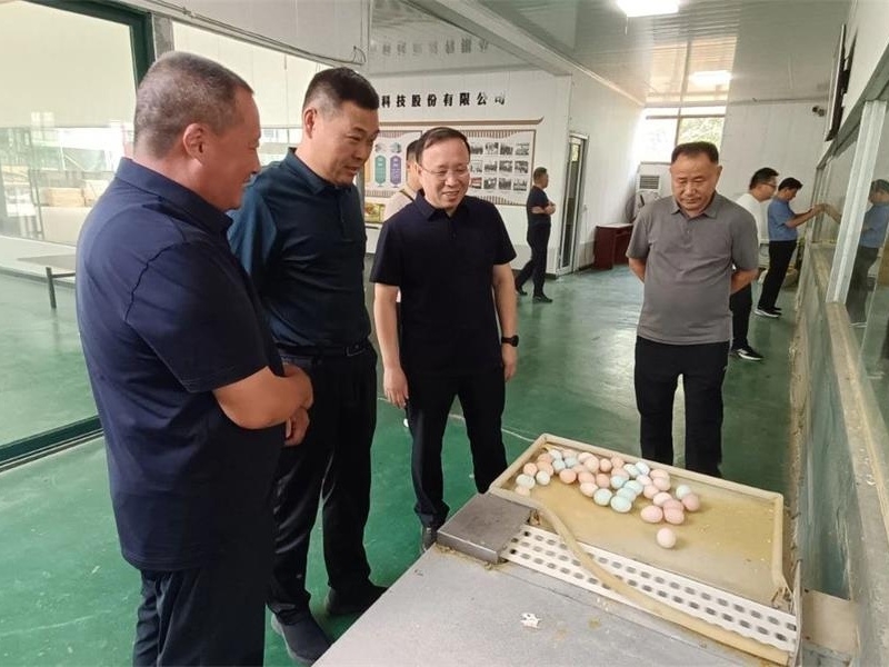 枣庄市峄城区畜牧渔业事业发展中心来金秋农牧公司考察